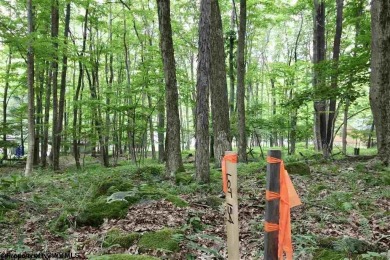 Looking for the perfect Lake House Location? This is it! This on Alpine Lake Resort in West Virginia - for sale on GolfHomes.com, golf home, golf lot