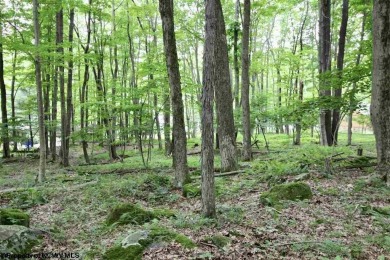 Looking for the perfect Lake House Location? This is it! This on Alpine Lake Resort in West Virginia - for sale on GolfHomes.com, golf home, golf lot