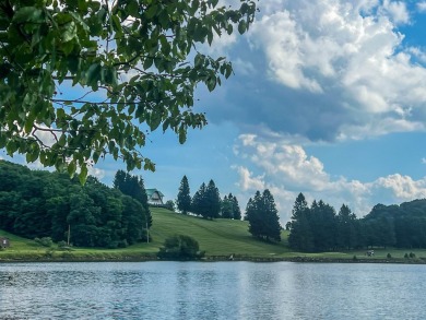 Looking for the perfect Lake House Location? This is it! This on Alpine Lake Resort in West Virginia - for sale on GolfHomes.com, golf home, golf lot