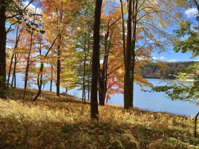 Looking for the perfect Lake House Location? This is it! This on Alpine Lake Resort in West Virginia - for sale on GolfHomes.com, golf home, golf lot
