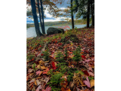 Looking for the perfect Lake House Location? This is it! This on Alpine Lake Resort in West Virginia - for sale on GolfHomes.com, golf home, golf lot