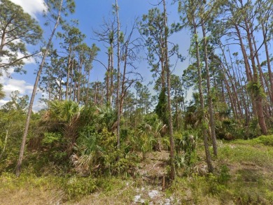 A prime vacant lot perfect for building your dream home or on Sabal Trace Golf and Country Club in Florida - for sale on GolfHomes.com, golf home, golf lot