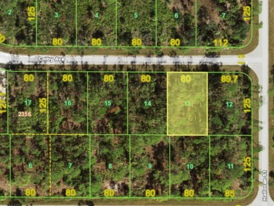 A prime vacant lot perfect for building your dream home or on Sabal Trace Golf and Country Club in Florida - for sale on GolfHomes.com, golf home, golf lot