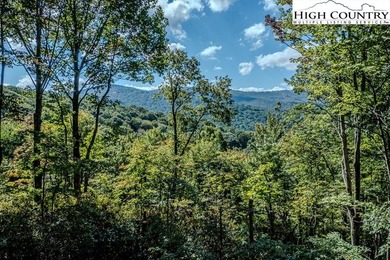 GREAT PRICE - RENTAL READY! Outstanding Log Cabin in Prime Beech on Beech Mountain Club in North Carolina - for sale on GolfHomes.com, golf home, golf lot