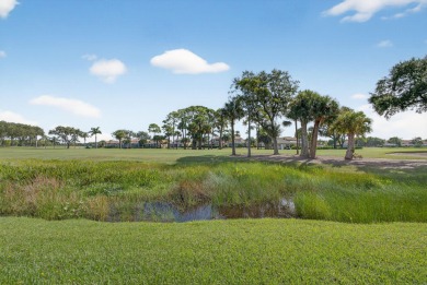 Enjoy the 12th hole green view of PGA National's Championship on PGA National Golf Club in Florida - for sale on GolfHomes.com, golf home, golf lot