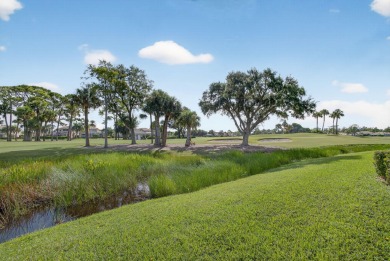 Enjoy the 12th hole green view of PGA National's Championship on PGA National Golf Club in Florida - for sale on GolfHomes.com, golf home, golf lot