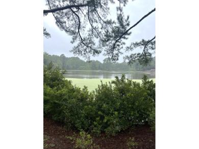 LAKEFRONT TRANQUIL RETREAT on high lot overlooking Chaplins on The Links at Stono Ferry in South Carolina - for sale on GolfHomes.com, golf home, golf lot