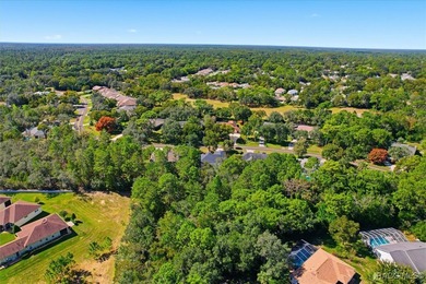 Welcome to your Florida sanctuary at 155 Pine St., Homosassa, FL on Sugarmill Woods Golf and Country Club in Florida - for sale on GolfHomes.com, golf home, golf lot