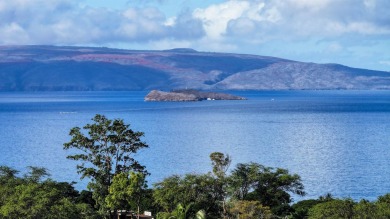 Located near Wailea Golf Vistas and the Hotel Wailea, this on Wailea Golf Club in Hawaii - for sale on GolfHomes.com, golf home, golf lot