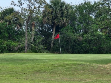 Welcome to this lovely 3BR/2BA located in the 55+ active adult on Spanish Lakes Fairways in Florida - for sale on GolfHomes.com, golf home, golf lot