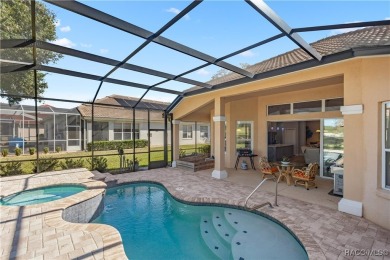Amazing Savings - Don't Miss It - You cannot build it for this on Skyview At Terra Vista Golf and Country Club in Florida - for sale on GolfHomes.com, golf home, golf lot