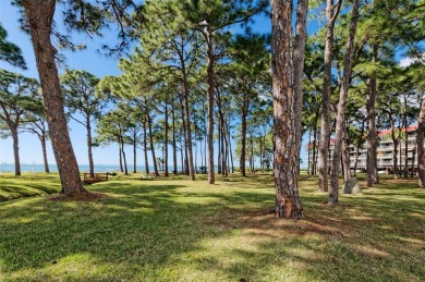 WATERFRONT LIFE AT ITS BEST! Spectacular sunsets, relaxing on The Dunedin Country Club in Florida - for sale on GolfHomes.com, golf home, golf lot