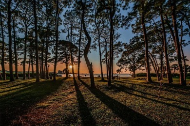 WATERFRONT LIFE AT ITS BEST! Spectacular sunsets, relaxing on The Dunedin Country Club in Florida - for sale on GolfHomes.com, golf home, golf lot