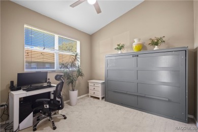Amazing Savings - Don't Miss It - You cannot build it for this on Skyview At Terra Vista Golf and Country Club in Florida - for sale on GolfHomes.com, golf home, golf lot
