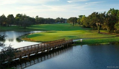 Amazing Savings - Don't Miss It - You cannot build it for this on Skyview At Terra Vista Golf and Country Club in Florida - for sale on GolfHomes.com, golf home, golf lot