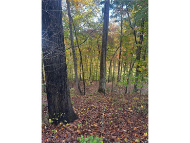 Discover the perfect setting for your dream home on this on Keowee Key Golf and Country Club in South Carolina - for sale on GolfHomes.com, golf home, golf lot