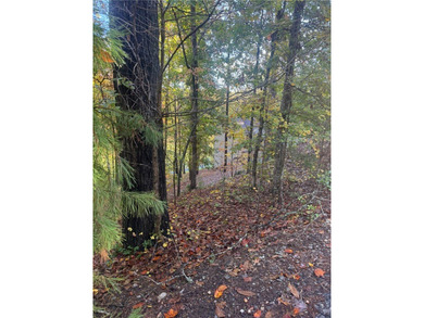 Discover the perfect setting for your dream home on this on Keowee Key Golf and Country Club in South Carolina - for sale on GolfHomes.com, golf home, golf lot