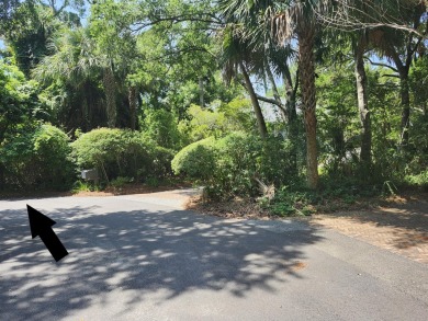 ****ATTENTION!!**** ONE OF THE ONLY ACTIVE BUILDING LOT on Kiawah Island Resort - Turtle Point in South Carolina - for sale on GolfHomes.com, golf home, golf lot