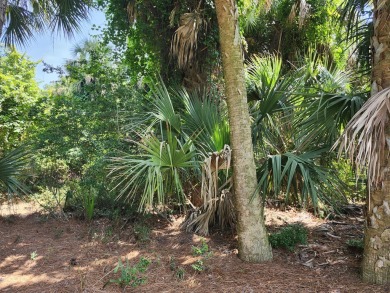 ****ATTENTION!!**** ONE OF THE ONLY ACTIVE BUILDING LOT on Kiawah Island Resort - Turtle Point in South Carolina - for sale on GolfHomes.com, golf home, golf lot