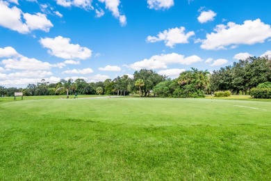 Under contract-accepting backup offers. Discover the charm of on The Preserve Golf Club At Tara in Florida - for sale on GolfHomes.com, golf home, golf lot