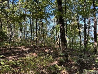 This is the best remaining LAKEFRONT lot in Diamond Bluff!! on  in Arkansas - for sale on GolfHomes.com, golf home, golf lot