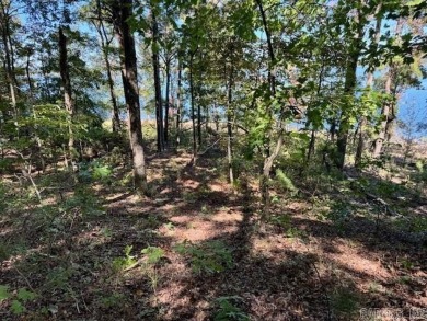 This is the best remaining LAKEFRONT lot in Diamond Bluff!! on  in Arkansas - for sale on GolfHomes.com, golf home, golf lot