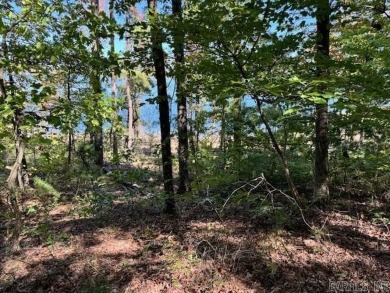 This is the best remaining LAKEFRONT lot in Diamond Bluff!! on  in Arkansas - for sale on GolfHomes.com, golf home, golf lot