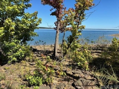 This is the best remaining LAKEFRONT lot in Diamond Bluff!! on  in Arkansas - for sale on GolfHomes.com, golf home, golf lot