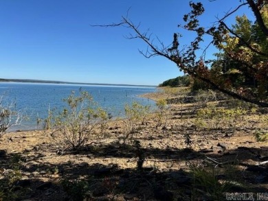This is the best remaining LAKEFRONT lot in Diamond Bluff!! on  in Arkansas - for sale on GolfHomes.com, golf home, golf lot