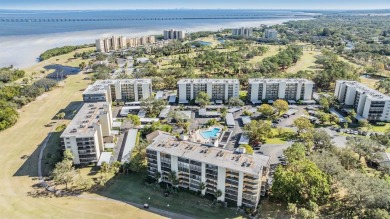 Nestled in the ever popular Cove Cay Village 4, this stunning on Cove Cay Country Club in Florida - for sale on GolfHomes.com, golf home, golf lot