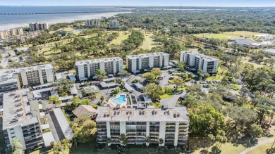 Nestled in the ever popular Cove Cay Village 4, this stunning on Cove Cay Country Club in Florida - for sale on GolfHomes.com, golf home, golf lot