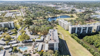 Nestled in the ever popular Cove Cay Village 4, this stunning on Cove Cay Country Club in Florida - for sale on GolfHomes.com, golf home, golf lot