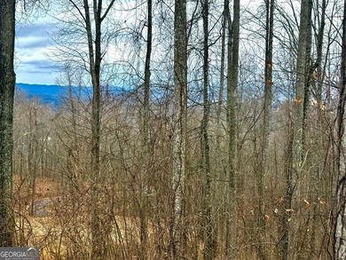 Follow your dreams to this exceptional mountain-view homesite in on Old Union Golf Course in Georgia - for sale on GolfHomes.com, golf home, golf lot