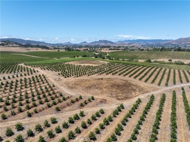The prestigious 285 acre Jack Ranch is Edna Valley's legacy on San Luis Obispo Golf and Country Club in California - for sale on GolfHomes.com, golf home, golf lot