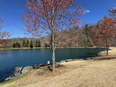 Welcome to the beautiful and vibrant Black Creek community which on Black Creek Club in Tennessee - for sale on GolfHomes.com, golf home, golf lot
