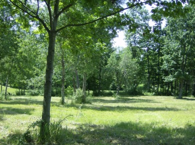 2.7 Acres At Lake Isabella on Pines at Isabella in Michigan - for sale on GolfHomes.com, golf home, golf lot