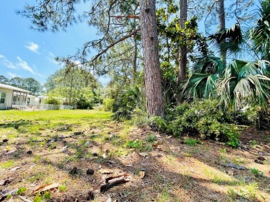 Would you like to have access to the beautiful gulf coast and on St. James Bay in Florida - for sale on GolfHomes.com, golf home, golf lot