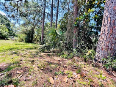 Would you like to have access to the beautiful gulf coast and on St. James Bay in Florida - for sale on GolfHomes.com, golf home, golf lot
