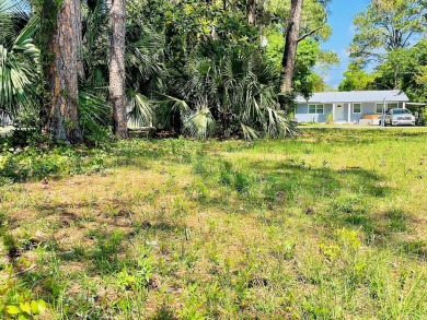 Would you like to have access to the beautiful gulf coast and on St. James Bay in Florida - for sale on GolfHomes.com, golf home, golf lot