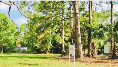Would you like to have access to the beautiful gulf coast and on St. James Bay in Florida - for sale on GolfHomes.com, golf home, golf lot