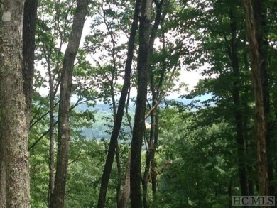 This 0.77+/- acre homesite offers mountain views at a great on Old Edwards Club in North Carolina - for sale on GolfHomes.com, golf home, golf lot
