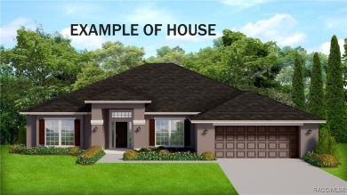 Brand New Quality Built Construction in Desirable Pine Ridge on Pine Ridge Community Golf and Country Club in Florida - for sale on GolfHomes.com, golf home, golf lot