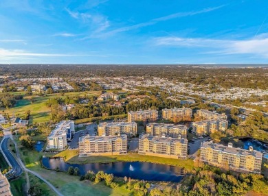 Are you interested in (1) an IMMACULATE and BEAUTIFUL home?   or on East Bay Golf Club in Florida - for sale on GolfHomes.com, golf home, golf lot