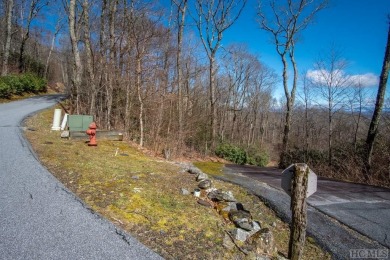 Located on a quiet street in Old Edwards Club at Highlands Cove on Old Edwards Club in North Carolina - for sale on GolfHomes.com, golf home, golf lot