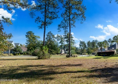 An opportunity like this may not come again-strike now! With on Cape Fear National At Brunswick Forest in North Carolina - for sale on GolfHomes.com, golf home, golf lot
