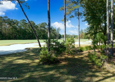An opportunity like this may not come again-strike now! With on Cape Fear National At Brunswick Forest in North Carolina - for sale on GolfHomes.com, golf home, golf lot