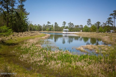 An opportunity like this may not come again-strike now! With on Cape Fear National At Brunswick Forest in North Carolina - for sale on GolfHomes.com, golf home, golf lot
