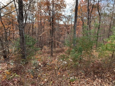 There's a reason The Cliffs at Mountain Park is the hottest on The Cliffs at Mountain Park  in South Carolina - for sale on GolfHomes.com, golf home, golf lot