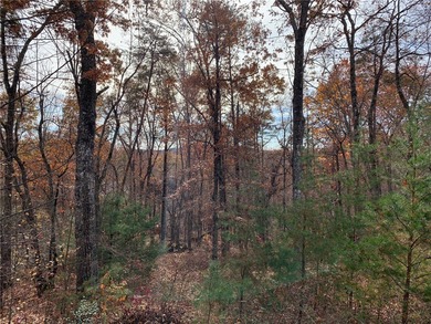 There's a reason The Cliffs at Mountain Park is the hottest on The Cliffs at Mountain Park  in South Carolina - for sale on GolfHomes.com, golf home, golf lot