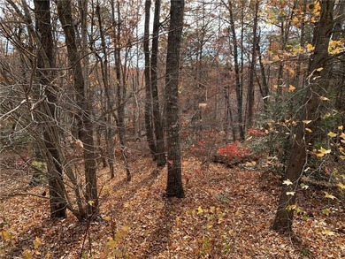 There's a reason The Cliffs at Mountain Park is the hottest on The Cliffs at Mountain Park  in South Carolina - for sale on GolfHomes.com, golf home, golf lot